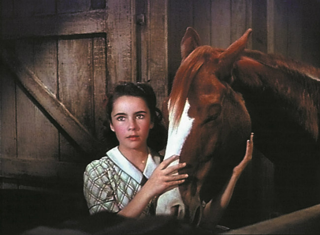 National Velvet