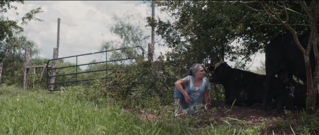 Renee sits with a cow in Rowdy Girl.